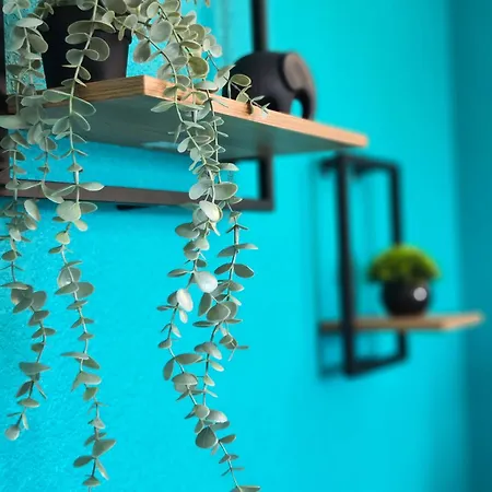 One Apartamento Mukácheve